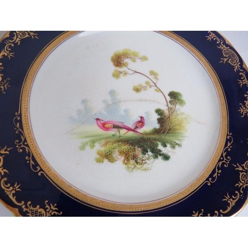 106 - Eight Coalport plates with hand painted game bird decoration and cobalt blue and gilt borders plus t... 