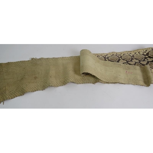 32 - A vintage taxidermy python snake skin, approx length 325cm, maximum width 25cm.
Condition report: No... 