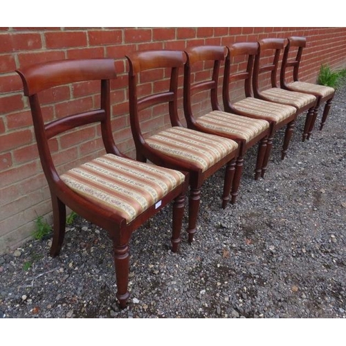 737 - A set of six Regency mahogany dining chairs, raised on tapering turned front supports & rear sabre l... 