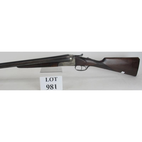 Lot 981       