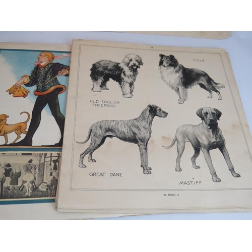 117 - A folio of approximately 150 educational posters on a myriad of topics, c1930s. 35cm x 35cm.
Conditi... 