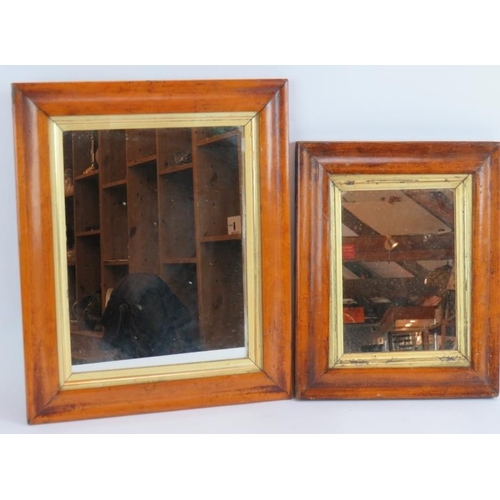 215 - Two period maple frames with gilt slips both now housing mirrors. Largest 30cm x 36cm. Smallest 24cm... 