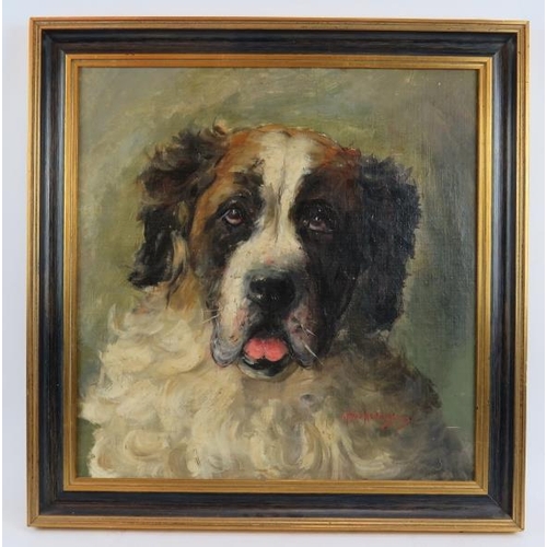 551 - Alice van Heddegham (Exh. 1906-1927) - 'Head of a Hound', oil on board, signed, 44cm x 43cm, framed.... 