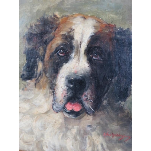 551 - Alice van Heddegham (Exh. 1906-1927) - 'Head of a Hound', oil on board, signed, 44cm x 43cm, framed.... 