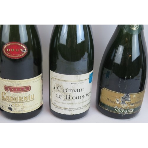 294 - 8 bottles of sparkling wine including Seaview chardonnay, Asti Spumante, Cremant DG Bourgogne, Seill... 