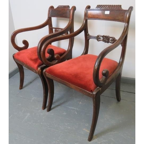 761 - A near pair of Regency mahogany carver chairs, featuring gadrooned detail, ornately carved and pierc... 