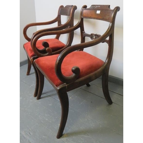 761 - A near pair of Regency mahogany carver chairs, featuring gadrooned detail, ornately carved and pierc... 