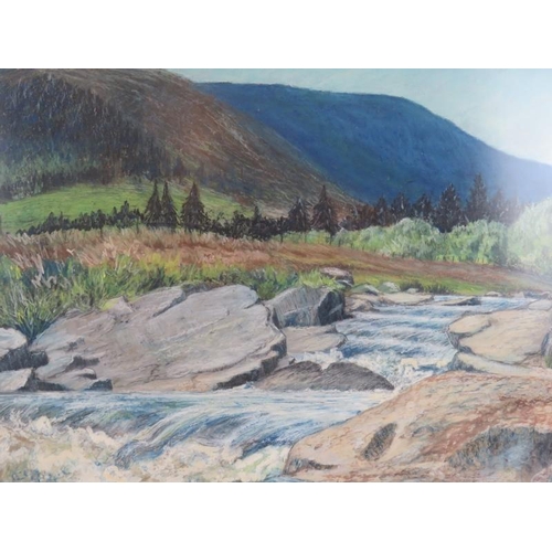 574 - Patricia Martin (Contemporary) - 'Glen Esk', oil and pastel, signed, label verso for Forecourt Art G... 