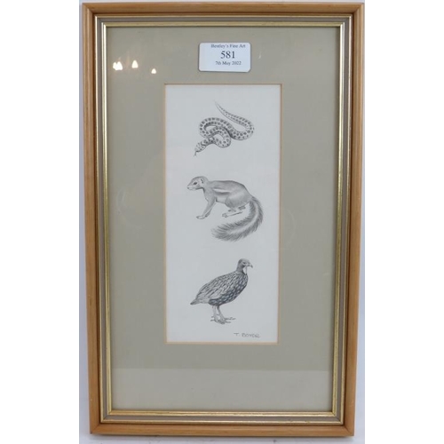 581 - Trevor Boyer (British, b.1948) - 'A Snake, a Stoat, and a bird', pencil drawing, signed, 20cm x 9cm,... 