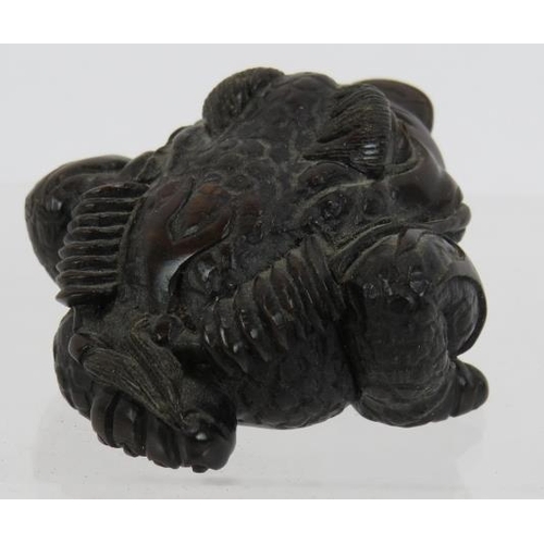 18 - A finely carved Japanese hardwood Netsuke of a frog with his tongue out. Height: 2.5cm. Signed panel... 