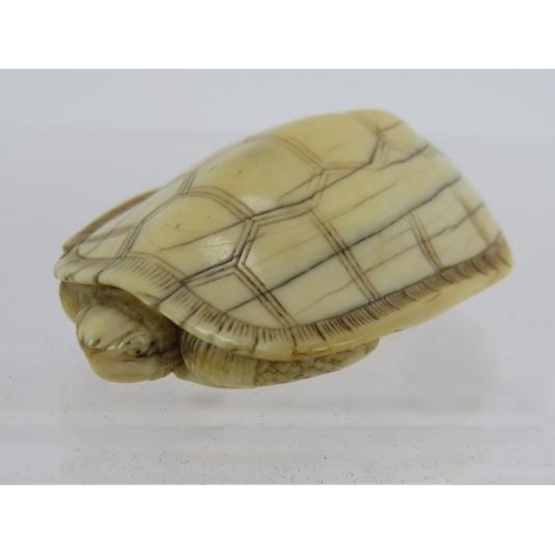 19 - A Japanese carved ivory Netsuke, late 19th century of a turtle. Length: 4.5cm. signed to base.
Condi... 