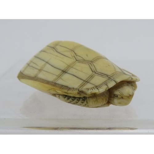 19 - A Japanese carved ivory Netsuke, late 19th century of a turtle. Length: 4.5cm. signed to base.
Condi... 