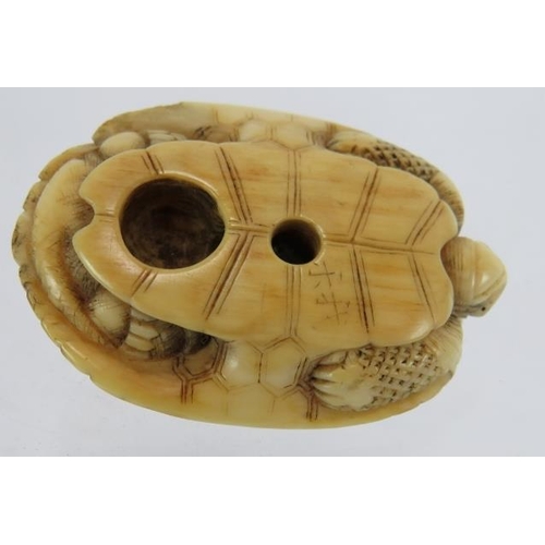 19 - A Japanese carved ivory Netsuke, late 19th century of a turtle. Length: 4.5cm. signed to base.
Condi... 