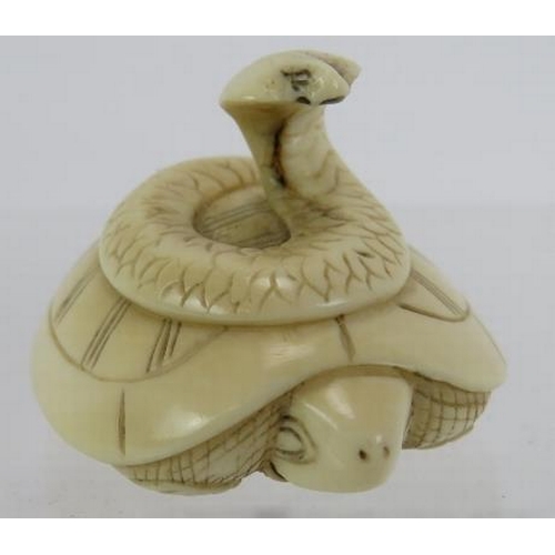 21 - A Japanese carved ivory Netsuke of a turtle and Cobra, early 20th century.  Height:2.8cm. Signed to ... 