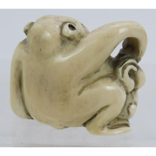 30 - A Japanese carved ivory Netsuke early 20th century, of a monkey and dog. Height: 3.2cm. Signed to ba... 