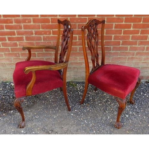 764 - A set of 10 (8+2) antique Chippendale revival dining chairs, upholstered in claret velvet, on cabrio... 