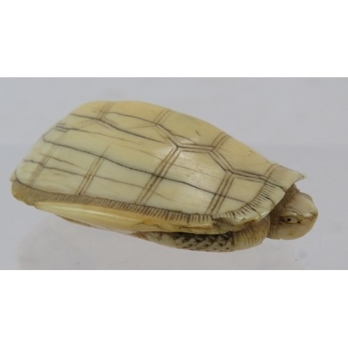 19 - A Japanese carved ivory Netsuke, late 19th century of a turtle. Length: 4.5cm. signed to base.
Condi... 