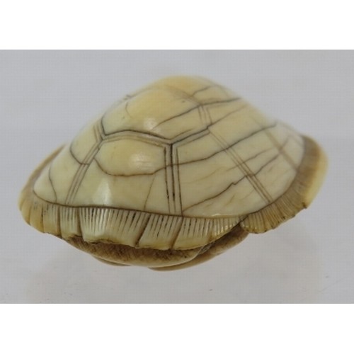 19 - A Japanese carved ivory Netsuke, late 19th century of a turtle. Length: 4.5cm. signed to base.
Condi... 