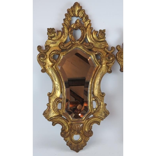 43 - An ornate pair of early 20th century gilt wood Venetian style mirrors, one with bevelled glass. Heig... 