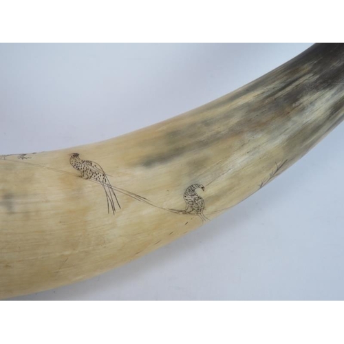 44 - A late 18th/early 19th Scrimshaw hunting horn with some later engraving and later silver mounts hall... 