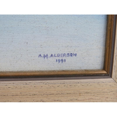 582 - A.H. Alderson (1991) - 'Biplane's', a pair, oils on board, both signed and dated, artists labels ver... 