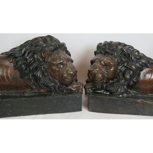 5 - Imposing pair of bronze Chatsworth style lions, hollow cast in patinated bronze. Length 80cm. Height... 