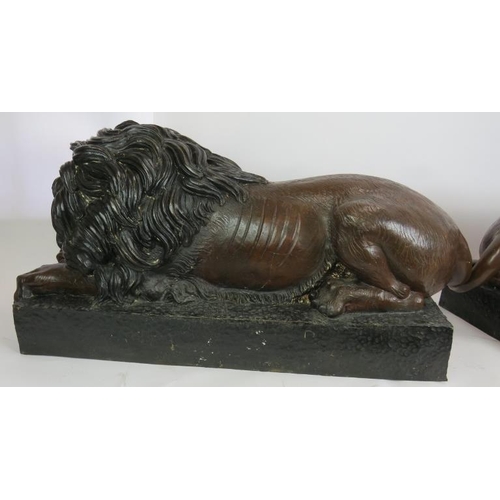 5 - Imposing pair of bronze Chatsworth style lions, hollow cast in patinated bronze. Length 80cm. Height... 