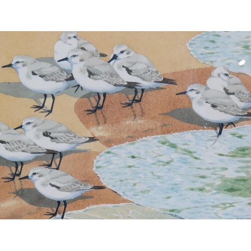 519 - Dr Noel William Cusa (British, 1909-1990) - Nine birds on the waters edge', watercolour, signed and ... 