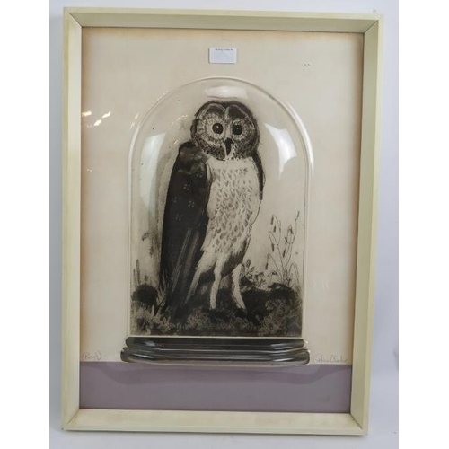 600A - Graham Clarke (b.1941) - 'Owl', pencil signed proof etching, inset Perspex cover to simulate a glass... 