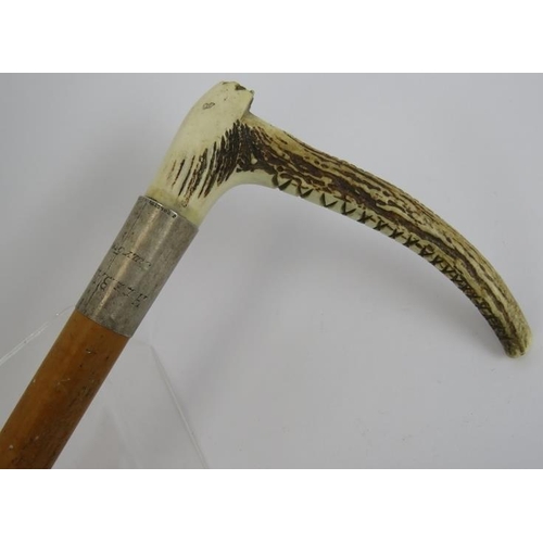 111 - A Malacca Hunting Whip with a Antler handle and silver collar.
Hallmarked Birmingham 1900, Stamped J... 