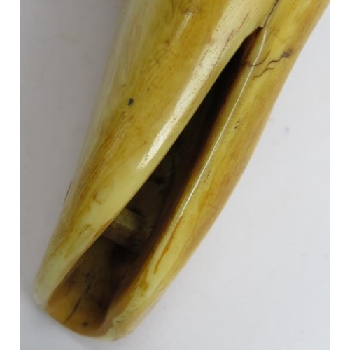 24 - A South Pacific Fijian Tabua sperm whale tooth, possibly 18th/19th century. Fashioned with a suspens... 