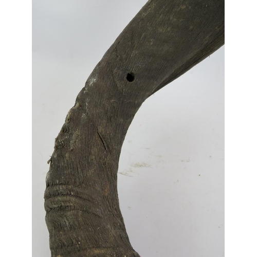 27 - Two vintage African Kudu antelope horns. Longest 90cm. (2).
Condition report: Both with drill holes ... 