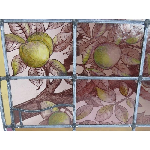 49 - An Arts and Crafts stained glass leaded panel hand decorated with apples in a tree. 40cm x 48cm.
Con... 