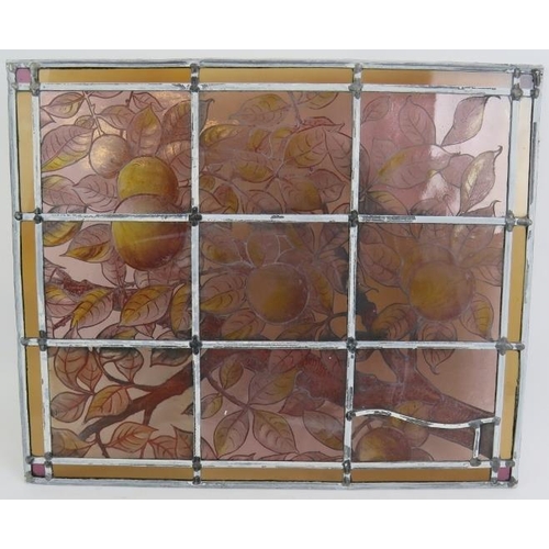 49 - An Arts and Crafts stained glass leaded panel hand decorated with apples in a tree. 40cm x 48cm.
Con... 