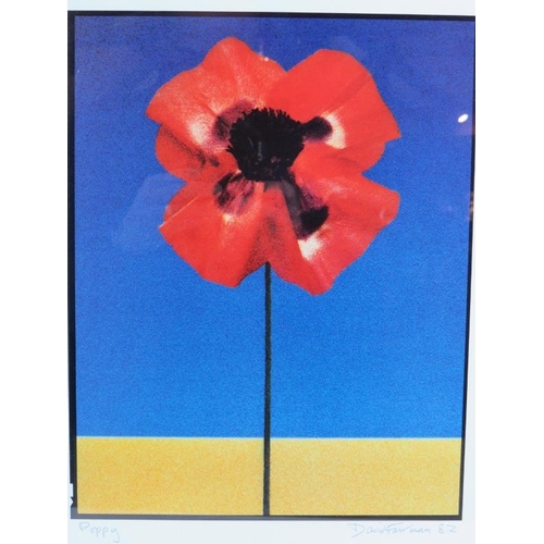 515 - David Fairman (1982) - 'Poppy', pencil signed original    C-Type print, signed, dated, titled, 33cm ... 