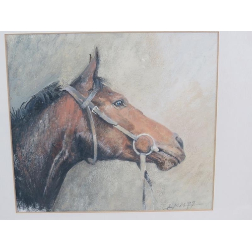 582 - An indistinctly signed gouache study of a horses head, 20cm x 23cm, framed, and a 19th century water... 