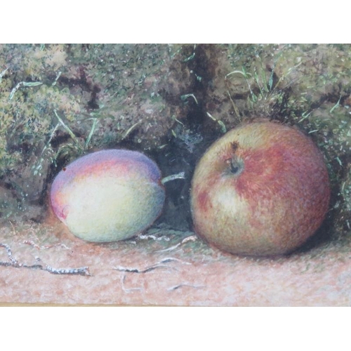 603 - Attributed to William Henry Hunt (1790-1864) - 'Still life study of fruit', watercolour, 12cm x 17cm... 