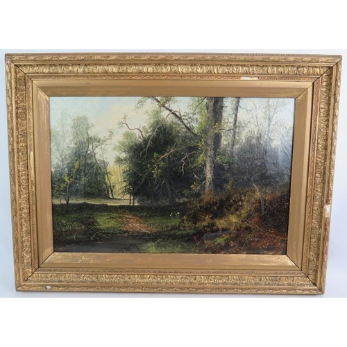 630 - W. Rogers (19th century) - 'Woodland Scene', oil on canvas, signed, 40cm x 60cm, framed. 
Condition ... 