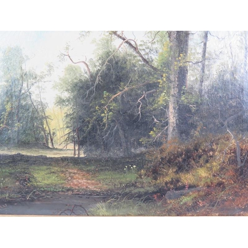 630 - W. Rogers (19th century) - 'Woodland Scene', oil on canvas, signed, 40cm x 60cm, framed. 
Condition ... 