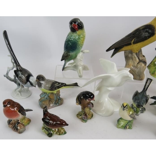 67 - A collection of 21 mixed pottery and porcelain bird figurines including Beswick, Royal Doulton, Roya... 