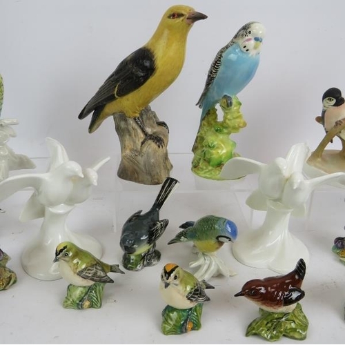 67 - A collection of 21 mixed pottery and porcelain bird figurines including Beswick, Royal Doulton, Roya... 