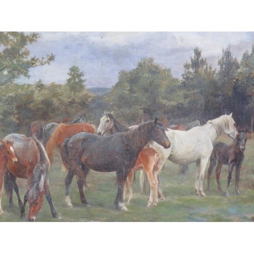 535 - Frances Mabel Hollmans (1877-1963) - 'Horses and foals in a field', oil on board, signed, old label ... 