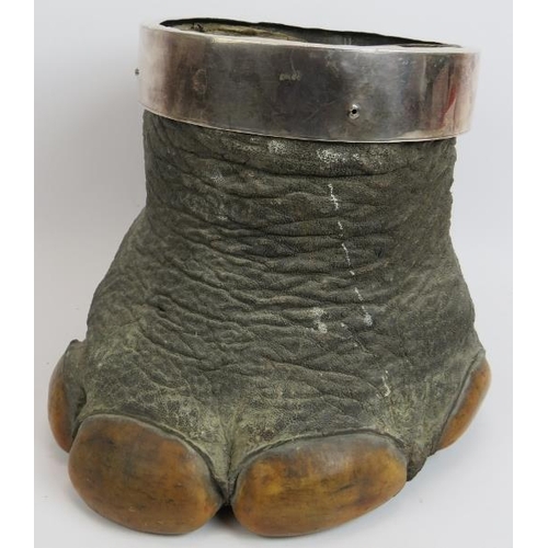 2 - An early 20th century taxidermy Asian elephant's foot bin planter with white metal collar. Height 26... 