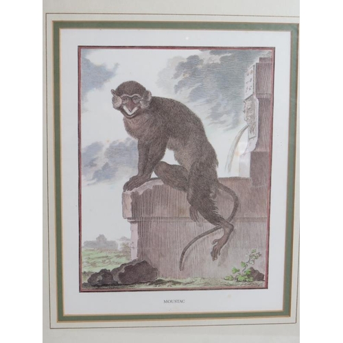 267 - Three decorative 19th century style prints of monkeys framed and glazed. 44cm x 50cm. (3).
Condition... 