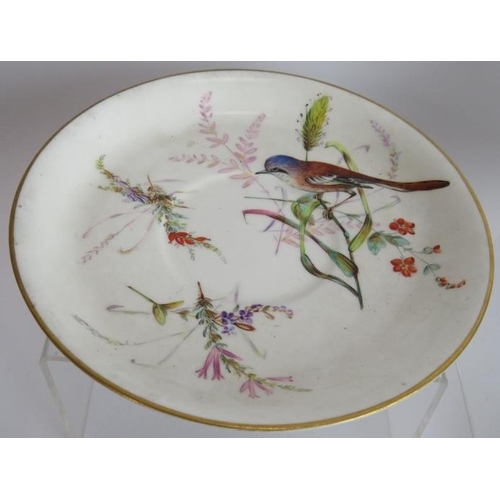 116 - An antique hand decorated cup and saucer with birds in foliage marked 'Padmore Derbyshire Fort Royal... 