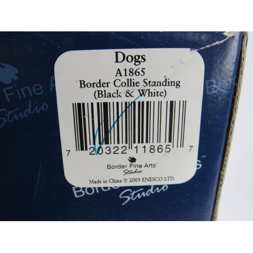 238 - A Border Fine Arts figure 'Border Collie Standing' by Margaret Turner 2002. Height 25cm. Length 25cm... 