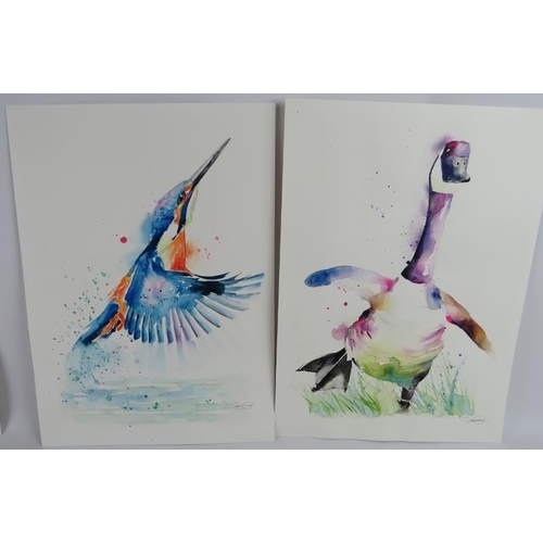 518 - Elle Smith (Contemporary) - Seven original watercolours depicting animals and birds, all signed and ... 