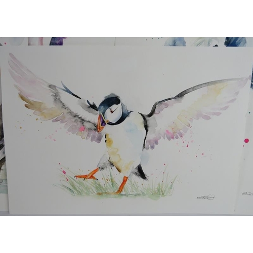 518 - Elle Smith (Contemporary) - Seven original watercolours depicting animals and birds, all signed and ... 