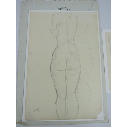 564 - Edward Wolfe RA (British, 1897-1982) - Three signed sketches on paper, 'Male nude', ink, 45cm x 30cm... 