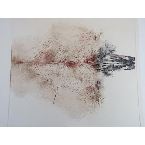 566 - John MacFarlane (British, b.1948) - 'Feather Design', pencil signed limited edition etching, 4/40, d... 